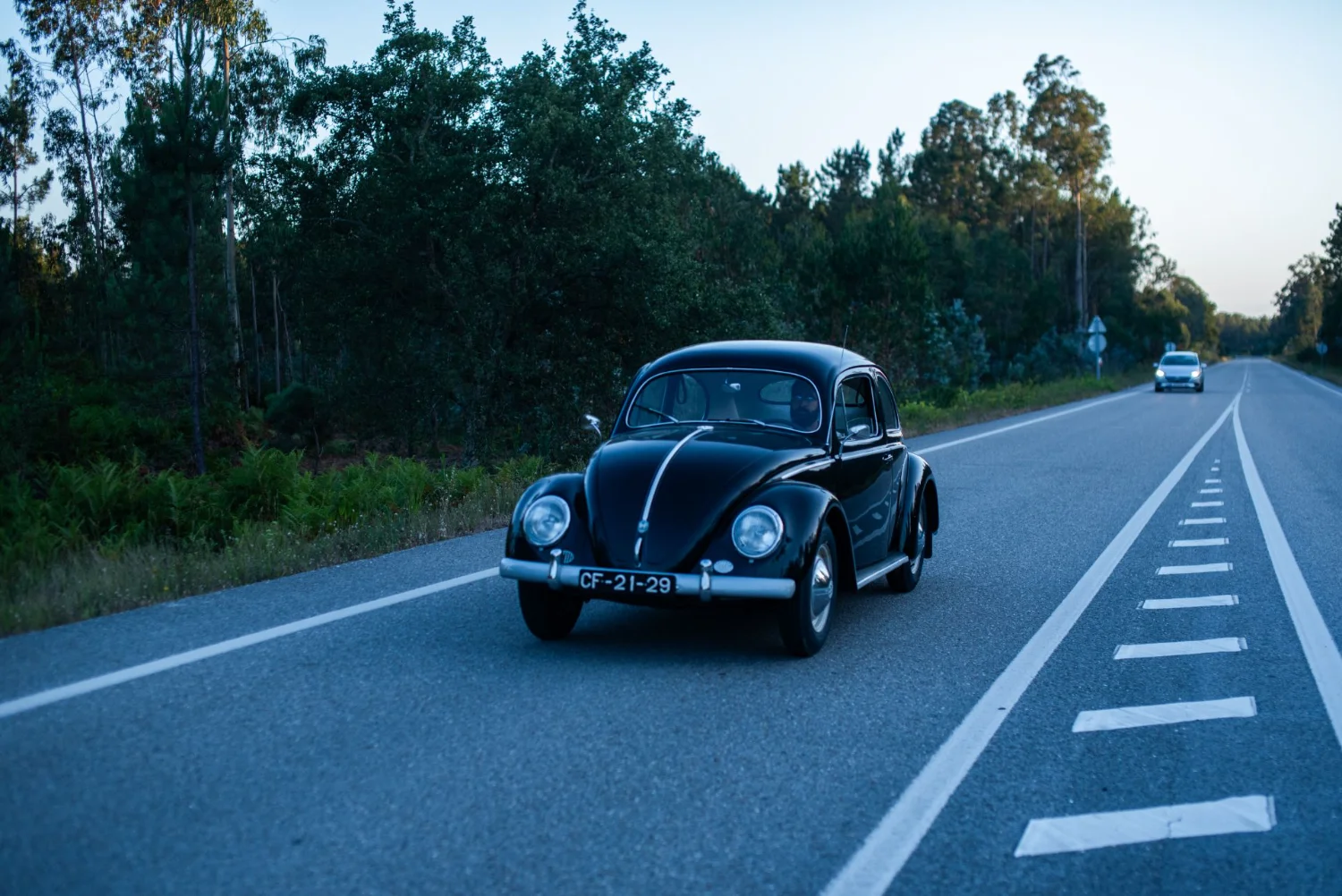 Escarabajo de 1954 entre las viñas