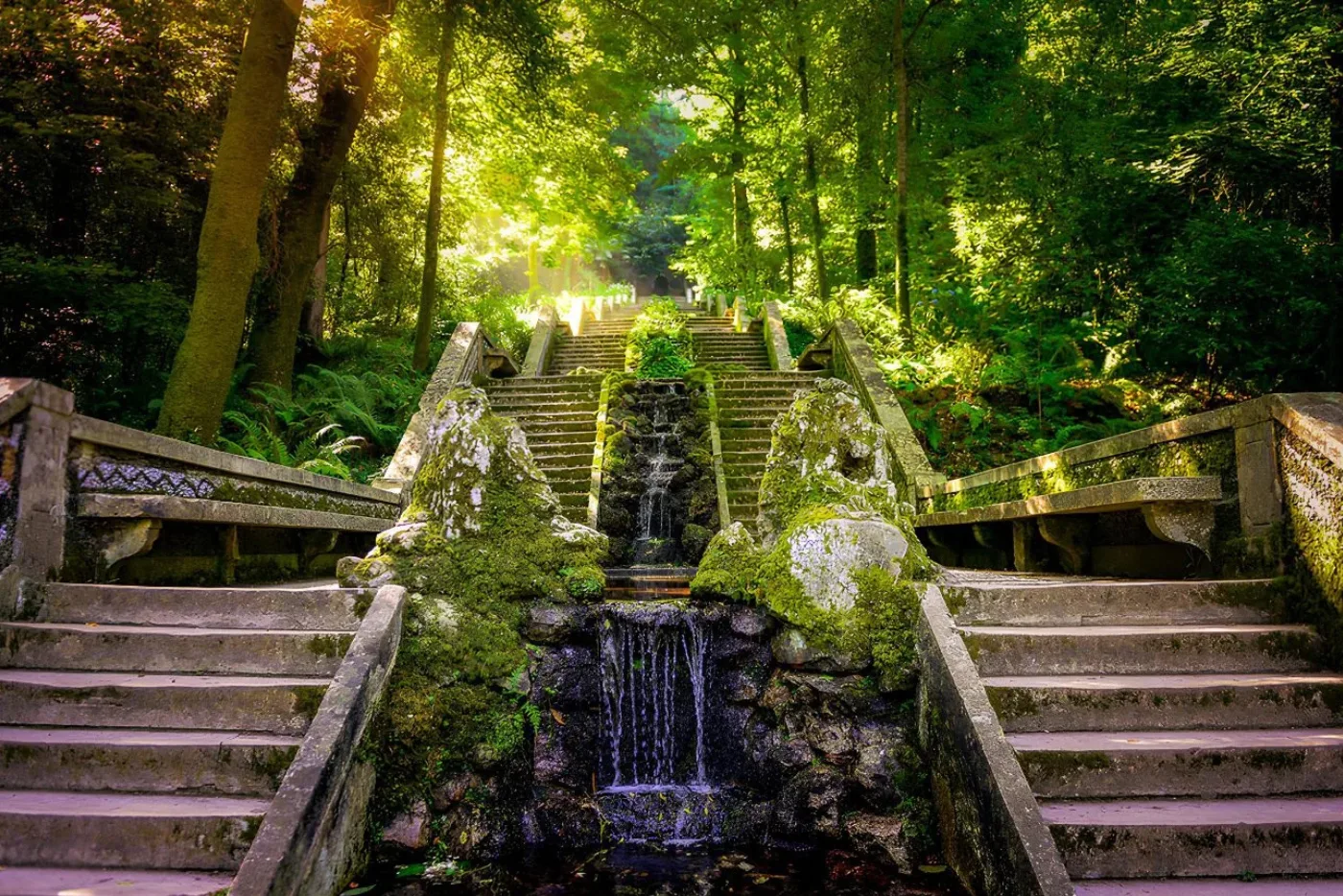 El Bosque Nacional del Buçaco, con la escalinata y la Fonte Fria entre árboles centenarios